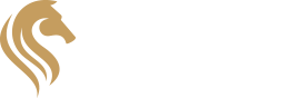 Leadership Assertif